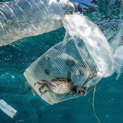 मृदा और जल उल परीक्षण प्रयोगशाला शिक्षा जैविक संदूषण प्राधिकरण तृतीय-पक्ष प्रमाणीकरण सेवा