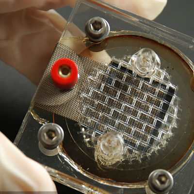 आईएसओ सीई लैब सर्टिफिकेशन सर्विसेज जीटीएस इलेक्ट्रिक रेजर थर्ड-पार्टी ऑथेंटिकेशन सर्विस