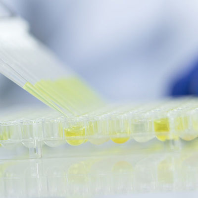 फूड ग्लास टेस्टिंग लैब्स सर्विसेज एफडीए मान्यता प्राप्त प्रयोगशालाएं तृतीय-पक्ष प्रमाणीकरण सेवा